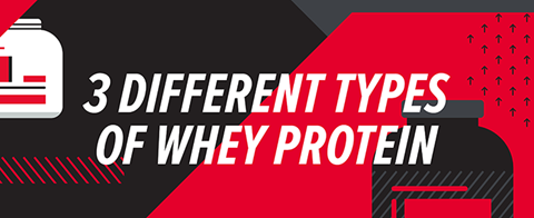Different Types of Whey Protein 